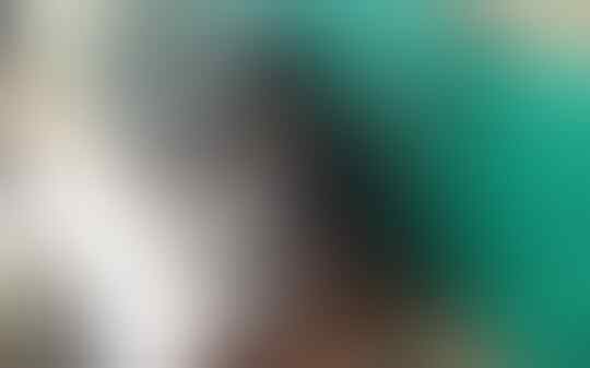 Perdagangan Satwa menjadi penyebab Punahnya Satwa liar di Indonesia
