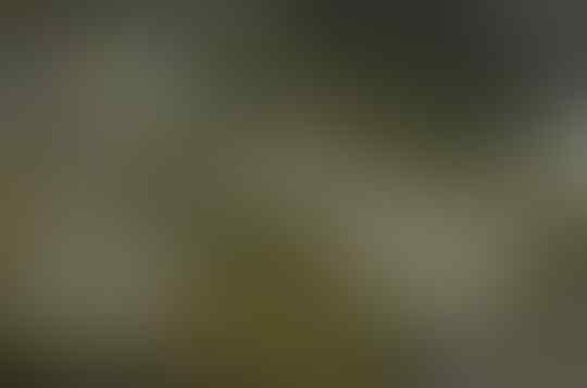 Kenapa Jalan di Pegunungan Dibuat Berkelok-kelok, Bukannya Lurus Saja?