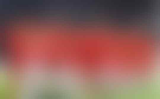 Prakiraan Susunan Pemain Malaysia vs Indonesia, Kunci Penyerang Naturalisasi