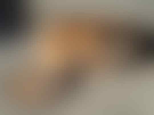 Tak Selamanya 'Khoceng Oren' Bar-Bar, Inilah Sifat Kucing Berdasarkan Warna Bulu!