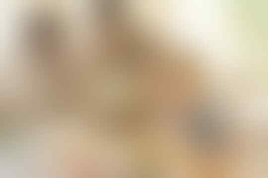 1000 hari pertama, Waktu yang sangat Penting dalam Keseluruhan Hidup