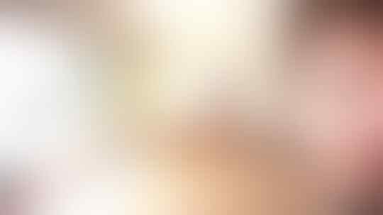 Waaah Ternyata ini Lho Kekacauan yang Akan Timbul Jika Nyamuk Punah dari Muka Bumi