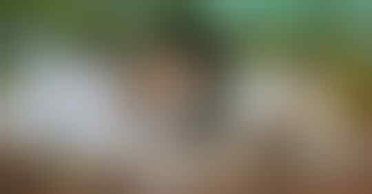 Ingin Punya Pacar? Kenali Dulu 6 Ciri Seseorang Jatuh Cinta Padamu!