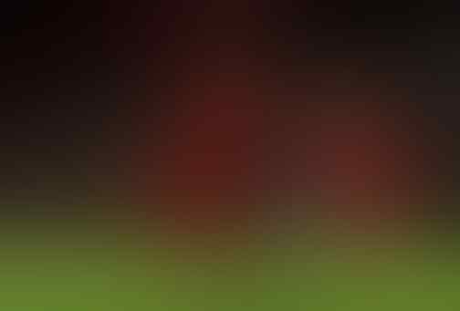 Hasil Lengkap EPL, Rashford Rusak Rekor Mourinho, Liverpool Permak Everton