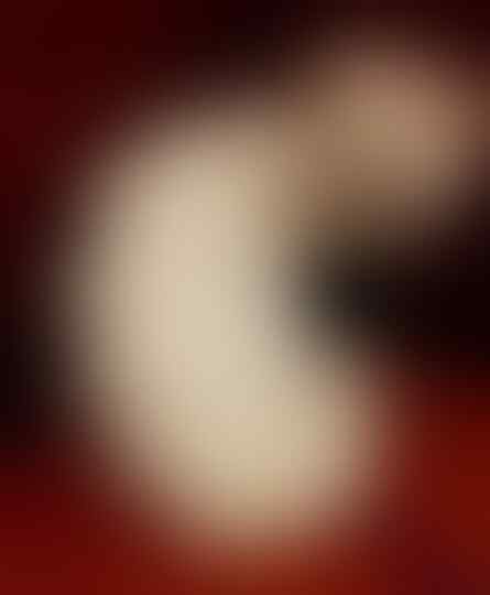 Foto-Foto Kucing dengan Gaya 'Rambut' Masa Kini, Gokil Abis!