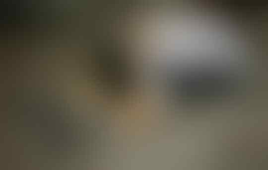 Benarkah Ini Foto-foto Perlakuan Pemerintah Cina di Kamp Muslim Uighur?