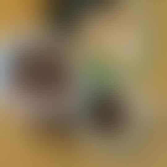 Kluban Botok Pindang Tetel, Kuliner Pekalongan yang Wajib di Coba, Rasane Wow Banget!
