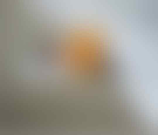10 Foto Keren yang Disangka Editan