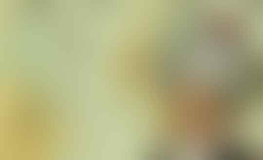 Kenali Laksamana Piri dari Turki, Si Pembuat Peta Dunia Pertama Paling Lengkap