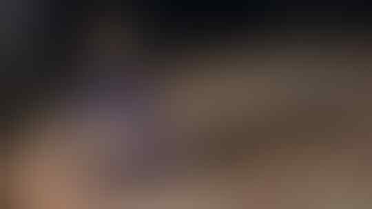 9 Fakta Mencengangkan Kelabang yang Wajib Diketahui