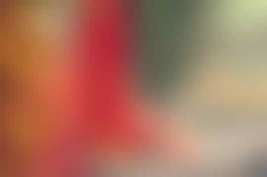 Vietnam Lunar New Year (Tet Holiday)