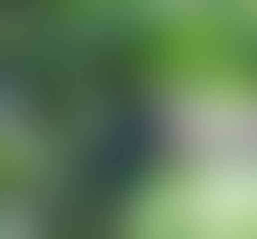 Mengapa Menjadi Pilihan Para Petani di Sinjai?