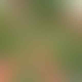 Mengapa Menjadi Pilihan Para Petani di Sinjai?