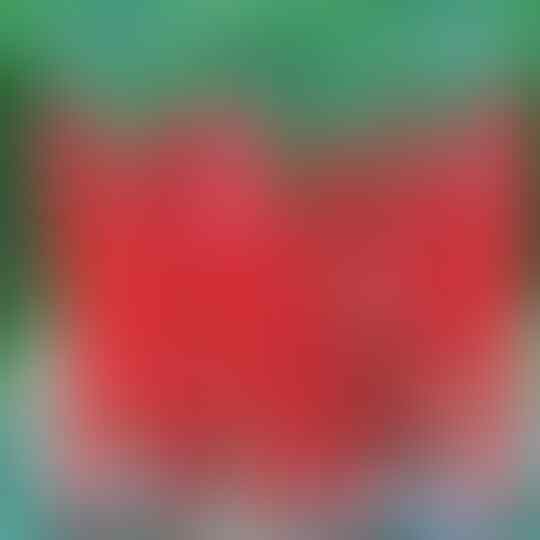 Mengapa Menjadi Pilihan Para Petani di Sinjai?