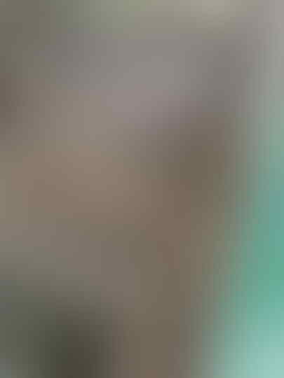 Viral! FOTO "PENAMPAKAN" Memilukan SINGA Afrika Yang Kurus Kering Kurang Makan !