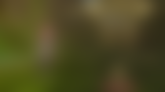 World of Dragon Nest, Salah Satu Game Dengan Developer Terburuk 2020