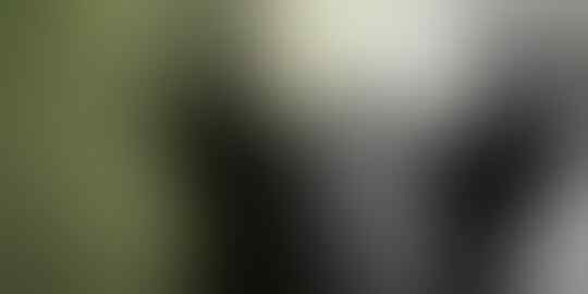 Napi di Bandung Alami Aksi Lesbian dari Teman Satu Selnya, Bisakah Lesbian Menular?