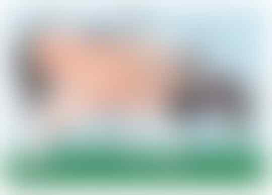 Mulai Terbentuknya Deretan Pencakar Langit Alam Tertinggi - Part 11: Neogen