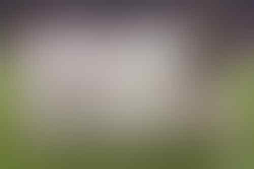 5 Timnas Sepakbola Yang Sudah Tiada Karena Negaranya Negaranya Bubar