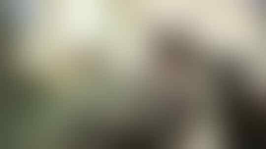 ALAT2 UNIK DI JAMAN DULU YANG TERNYATA MASIH ADA DI JAMAN SEKARANG (P1)