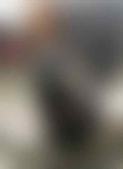 10 Foto Kucing Bar Bar Lucu