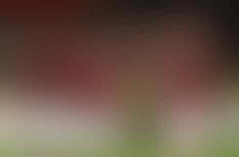 4 Klub Yang Pernah Dilarang Tampil Di Level Eropa, Liverpool Juga Pernah Gan
