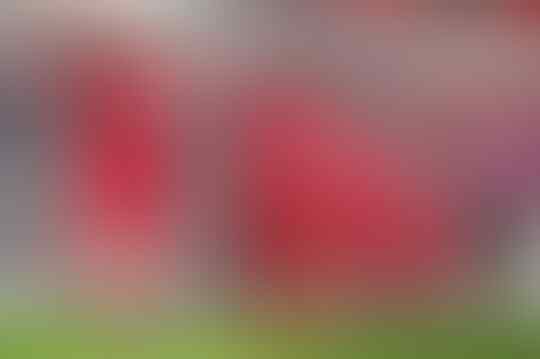 4 Klub Yang Pernah Dilarang Tampil Di Level Eropa, Liverpool Juga Pernah Gan