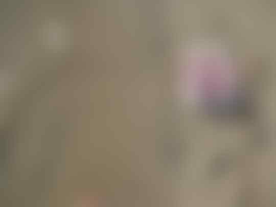 Ternyata Toleransi Pancasila Adanya di Pelosok Flores Timur