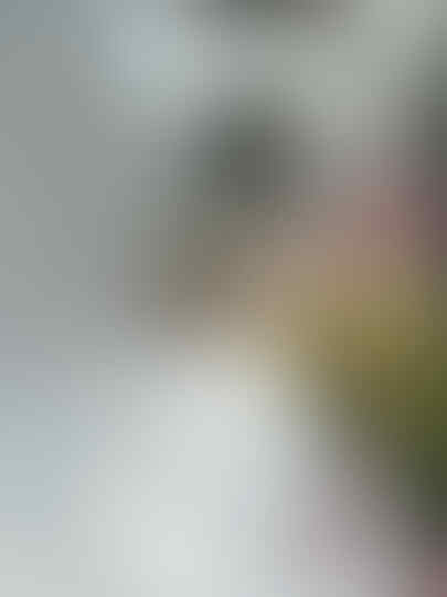 Foto Moment Agustusan Ini Dijamin Bakal Bikin Perut Kram, Penasaran?