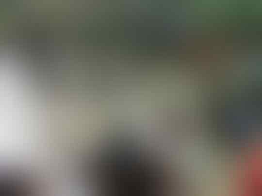 Foto Moment Agustusan Ini Dijamin Bakal Bikin Perut Kram, Penasaran?
