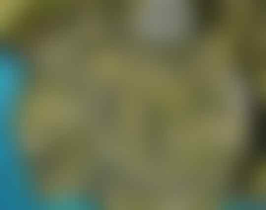 3 Hal Penting Terkait Update Besar oleh Free Fire