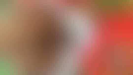 Ini 5 Sate Favorit Presiden Indonesia, Tertarik Mencicipi?