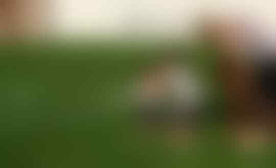 sisi lain keUNTUNGan dunia sepakbola dari corona