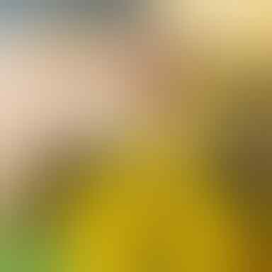 PEMAIN BUANGAN YANG GACOR DI TIM BARUNYA