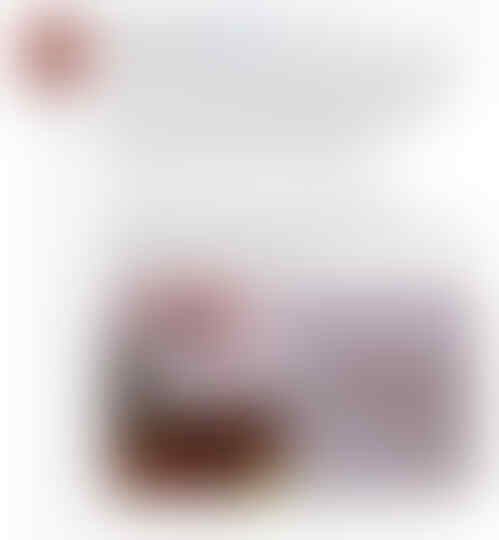 Pemerintah Tidak Diam! 7 Usaha yang Dilakukan Pemerintah Memerangi Virus Corona