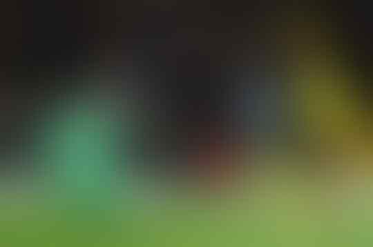 Cerita Menarik Serta Penyesalan Dari Vicarage Road