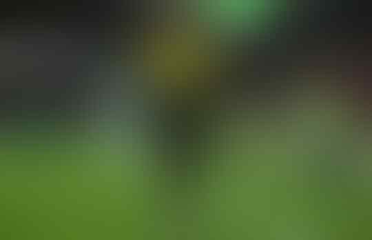 Cerita Menarik Serta Penyesalan Dari Vicarage Road