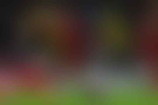 Cerita Menarik Serta Penyesalan Dari Vicarage Road