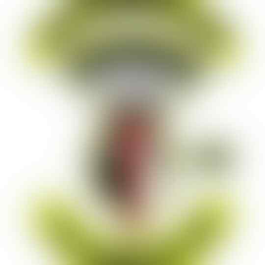 Geng Bikinan Ambon Yang Sempat Ditakuti Orang Eropa, Bener Gak Ya? Diskusi Yuk!