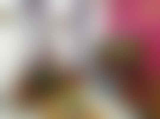 Gabut Tingkat Dewa Akibat Virus Corona! Simak 8 Foto Kegabutan Ini, Bikin Ngakak