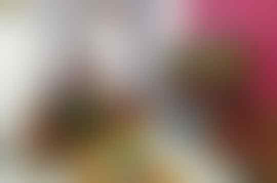 Gabut Tingkat Dewa Akibat Virus Corona! Simak 8 Foto Kegabutan Ini, Bikin Ngakak