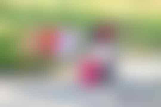 12 GAMBAR LUCU DIJAMIN NGAKAK | Sejenak Melupakan Corona.
