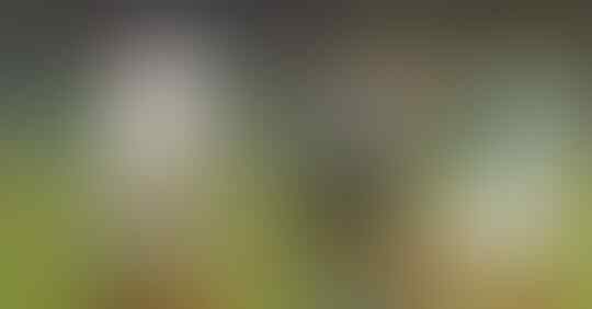 Gimana Jadinya kalau Cristiano Ronaldo Dulu Gabung Malaga, Bukan ke MU?