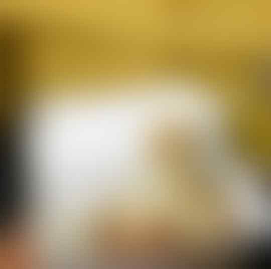 Jangan Sepelekan Sepiring Sudah, Cek Kandungan Juga Disini!