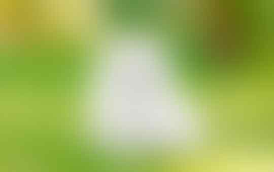 Hewan Bisa Terpapar Virus Corona, Ini Cara Mencegahnya Agar Tidak Menular!