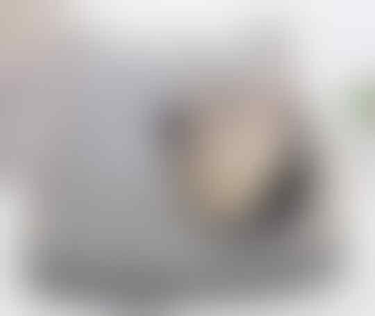Hewan Bisa Terpapar Virus Corona, Ini Cara Mencegahnya Agar Tidak Menular!