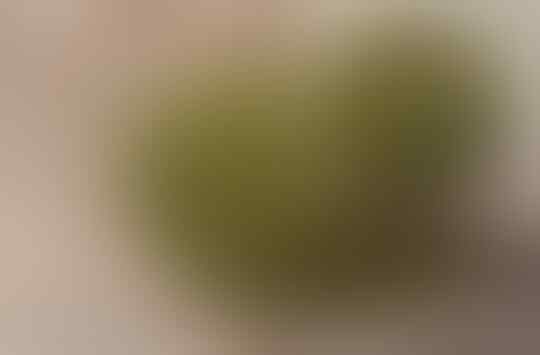 Tips dan trik cara merebus kacang hijau cepat lunak