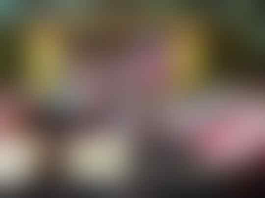 Sejarah, Tujuan dan Manfaat Kontes Kucing