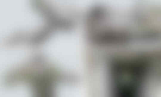 Arkeolog Membongkar Kengerian Kamp Konsentrasi Nazi di Inggris Sejak 1945