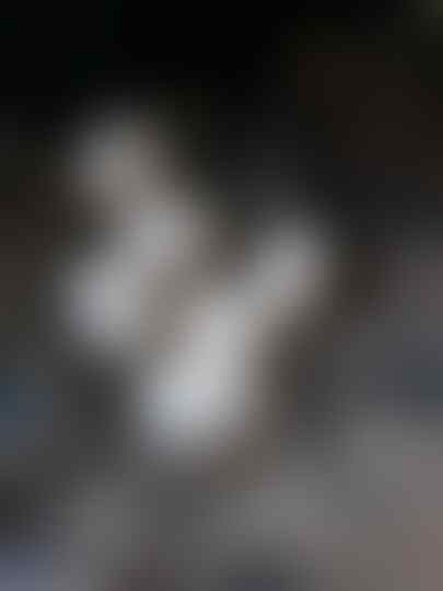 Ayam, Piaraan yang Menolong Ketika Kepepet Soal Uang